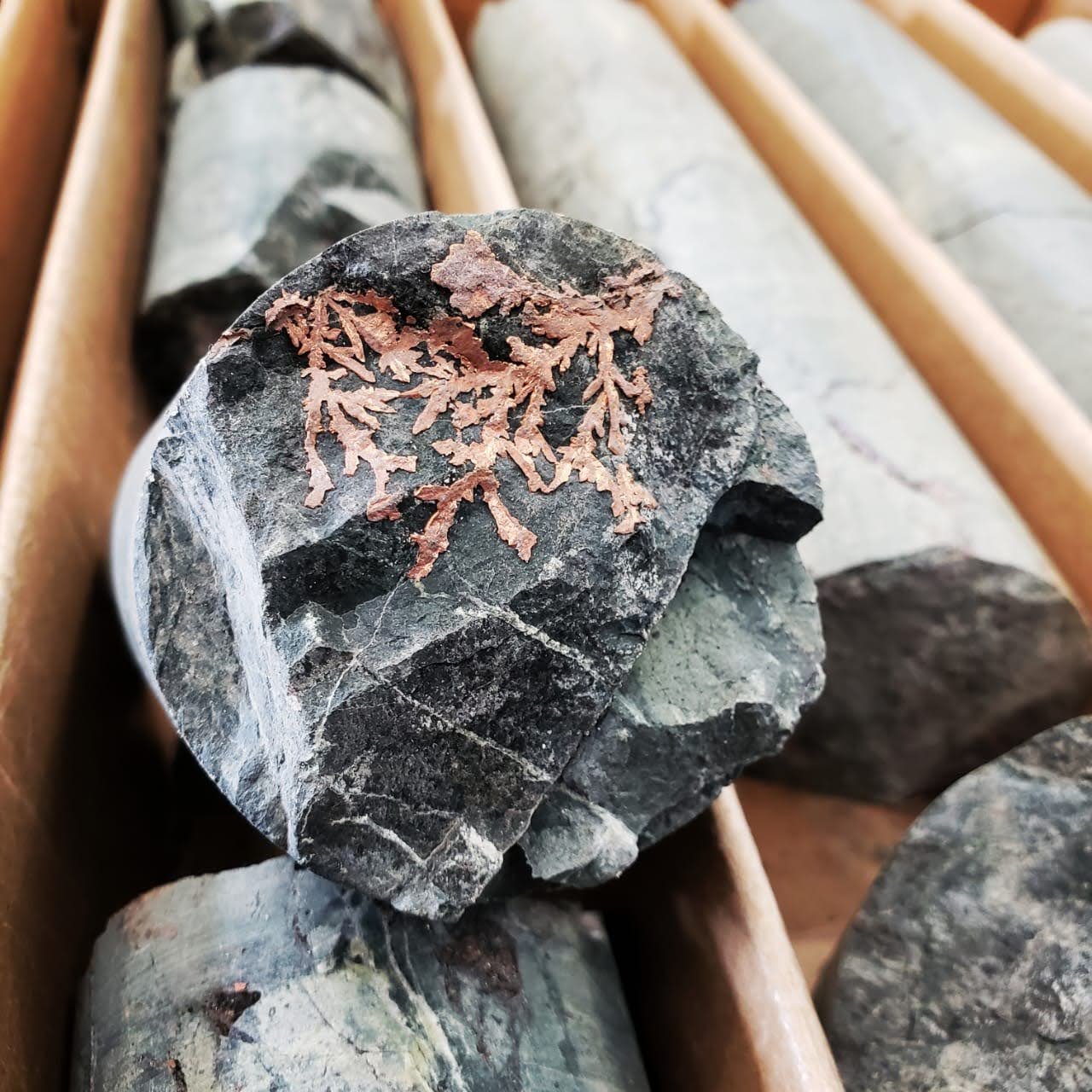 Testigo de sondaje con cobre nativo
